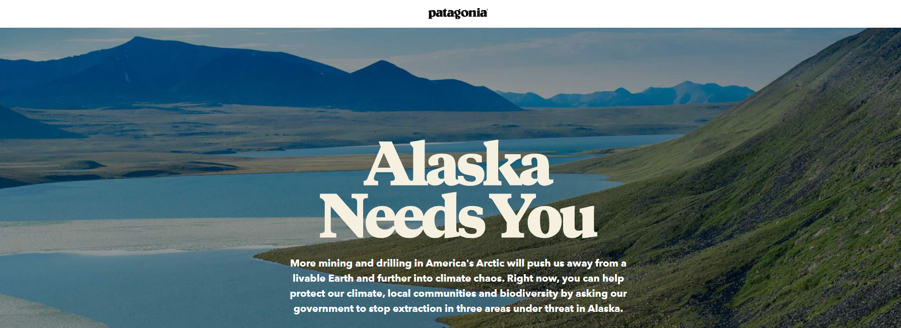 Patagonia brand activisim page supporting Alaska mine preservation.